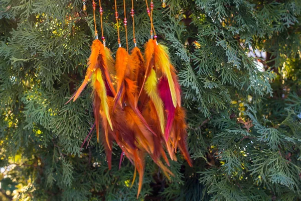 Drömfångare Med Fjädrar Trådar Och Pärlor Rep Hängande Drömfångare Handgjord — Stockfoto