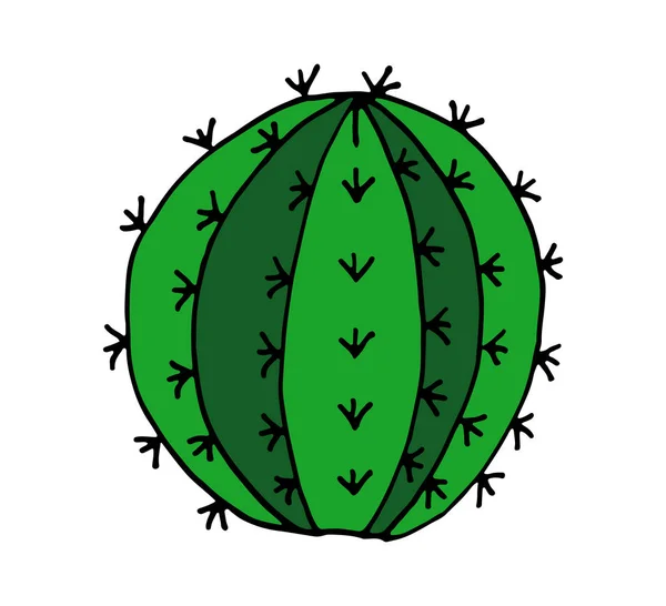 Illustration Cactus Vektor Doodle Tecknad Hand Dras — Stock vektor