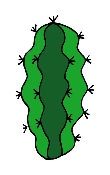 Ilustración Cactus Vector Doodle Dibujos Animados Dibujado Mano — Vector de stock