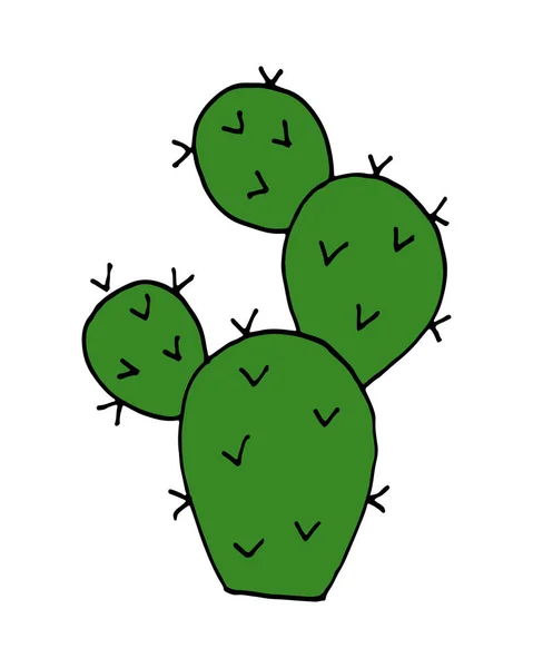 Ilustração Cactus Vetor Doodle Desenho Animado Desenhado Mão —  Vetores de Stock