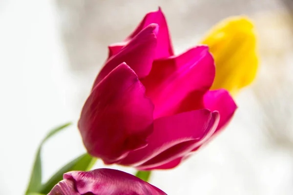 Bouquet Tulipes Jaunes Roses Dans Vase Sur Rebord Fenêtre Cadeau — Photo