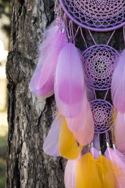 El yapımı rüya yakalayıcı iple asılı tüyler konu ve boncuk