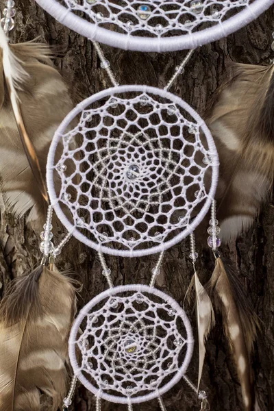 Handmade dream catcher with feathers threads and beads rope hanging — Stock Photo, Image