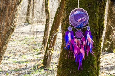 El yapımı rüya yakalayıcı iple asılı tüyler konu ve boncuk