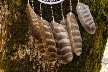 El yapımı rüya yakalayıcı iple asılı tüyler konu ve boncuk