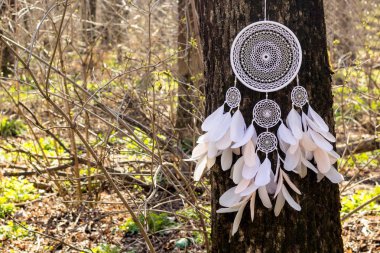 El yapımı rüya yakalayıcı iple asılı tüyler konu ve boncuk