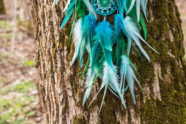 Handgjorda dream catcher med fjädrar trådar och pärlor rep hängande — Stockfoto