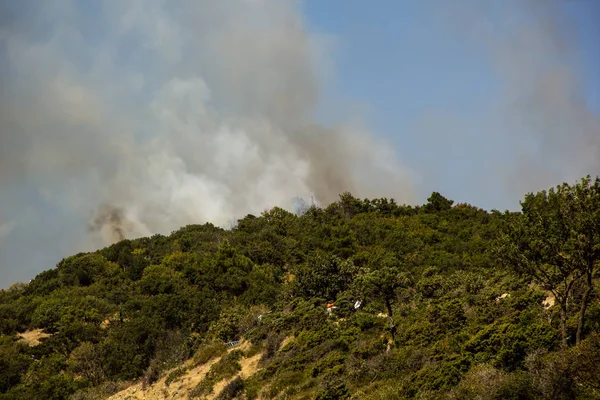 Forest Fire Smoke On The Slopes Hills. Fire In Mountain Forest. Wild Fire In Forests