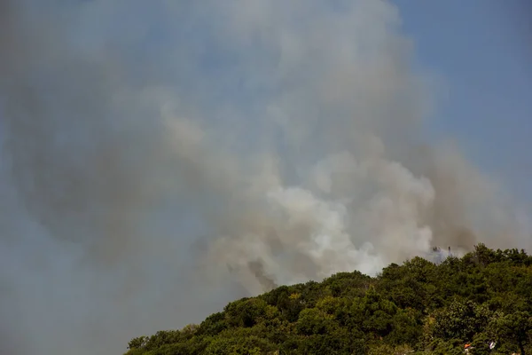 Yamaçlarda orman ateşi dumanı. Dağ ormanında ateş. Ormanlarda vahşi yangın — Stok fotoğraf
