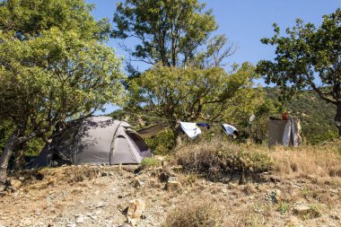 Turist kampında Güneşli Bir Yaz Günü Yeşil Bush Gümüş Çadır