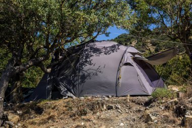 Turist kampında Güneşli Bir Yaz Günü Yeşil Bush Gümüş Çadır