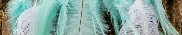 Banner de atrapasueños hecho a mano con hilos de plumas y colgante de cuerda de cuentas —  Fotos de Stock