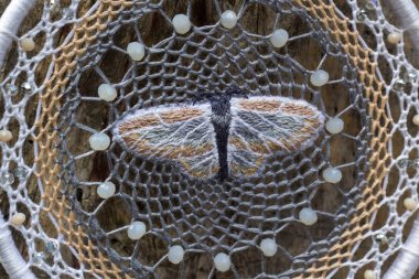 El yapımı rüya yakalayıcı iple asılı tüyler konu ve boncuk