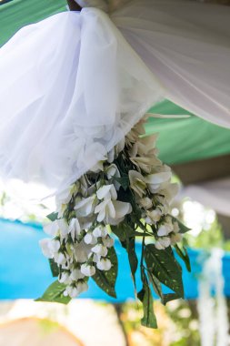 Düğün törenine hazırlanıyorum. Beyaz wisteria closeup dekor