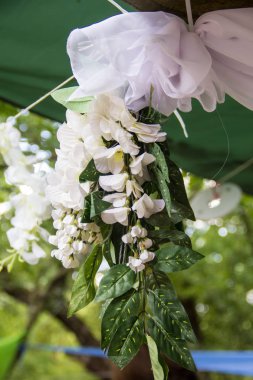Düğün törenine hazırlanıyorum. Beyaz wisteria closeup dekor