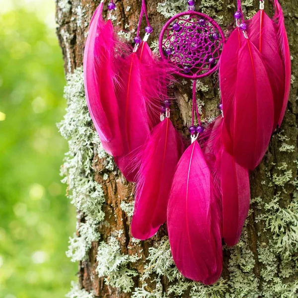 Dreamcatcher gemaakt van veren, leder, kralen en touwen — Stockfoto