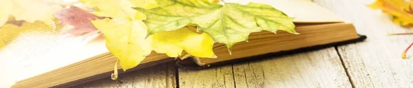 Banner a nyílt könyv és színes juharlevelek a fehér fából készült háttér — Stock Fotó