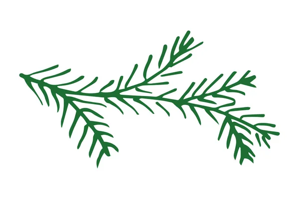 Handgetekende tekenfilm Kleurrijke dennenboom tak. Schets stijl Kerstmis vakantie plant decoratie vector tekening. — Stockvector