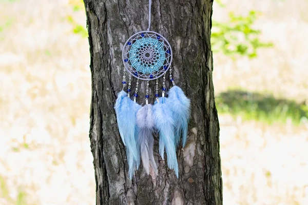 Chyták Snů Peřím Korálky Zavěšenými Provazy Dreamcatcher Ruční Výroba — Stock fotografie