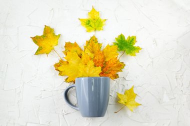 Sarı sonbahar akçaağaç yaprakları beyaz arka plandaki gri fincanda