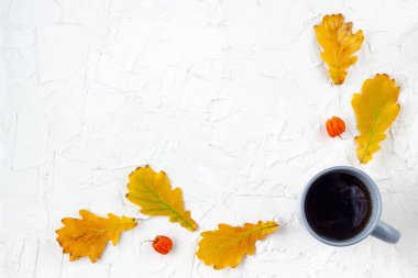 Sarı sonbahar meşe yapraklı beyaz arka planda gri bir fincan kahve. Üst manzara, düz uzanma