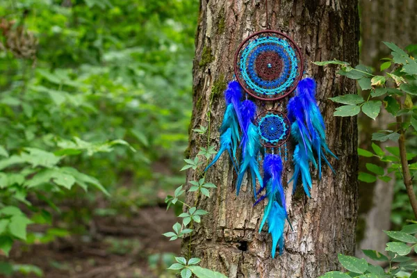 Chyták Snů Peřím Korálky Zavěšenými Provazy Dreamcatcher Ruční Výroba — Stock fotografie