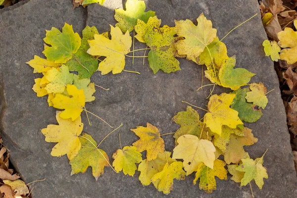 Осенняя Рамка Большим Количеством Желтых Листьев Сером Фоне — стоковое фото