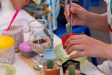Ağaç dikmek, ev dekorasyonu için bir teraryum düzenlemek. Aile ve arkadaşlarla yaz tatilinde bahçecilik ve bahçıvanlık. Dünya Çevre Günü kavramı