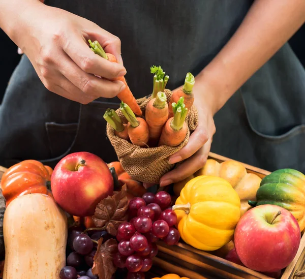 Herfst Oogsten Cornucopia Boer Met Groente Fruit Het Najaar Thanksgiving — Stockfoto