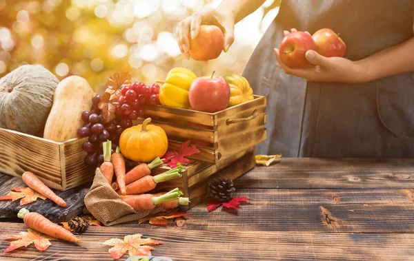 Herfst Oogsten Cornucopia Boer Met Groente Fruit Het Najaar Thanksgiving — Stockfoto