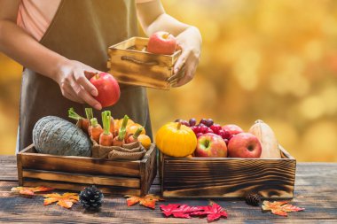 Sonbaharda eko meyve ve sebzeli çiftçi. Sonbahar mevsiminde ve Şükran Günü 'nde ekin hasadında tarım..