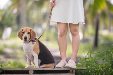 Asyalı kadın ve köpek en iyi arkadaş. Parkta tek başına açık hava yaşam tarzı.