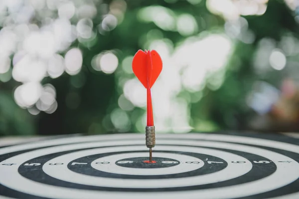 Spielen Sie Dart Brettspiel Garten Geschäftserfolg Und Ziel Training Und — Stockfoto