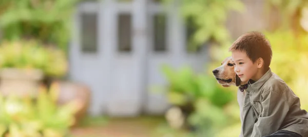 Höst Och Höstsäsong Kid Och Hund Livsstil Parken Liten Pojke — Stockfoto