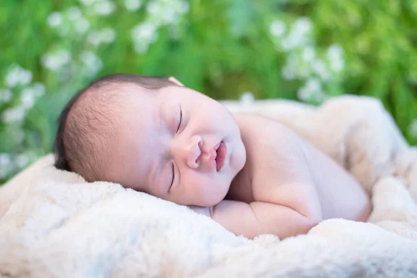 Neugeboren Asien Schönes Kind Und Kleines Kind Valentinstagsgeschenk Und Geschenk — Stockfoto