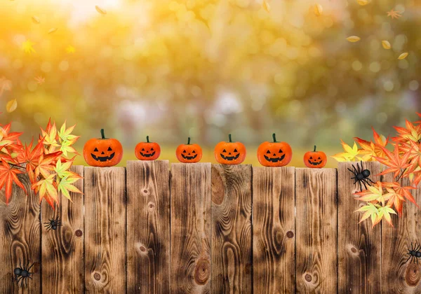 Pumpkin Face Background Happy Halloween Autumn Fall Season Copy Space — Stock Photo, Image