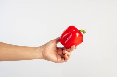 Red sweet bell pepper in hand isolated on white background