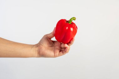 Red sweet bell pepper in hand isolated on white background