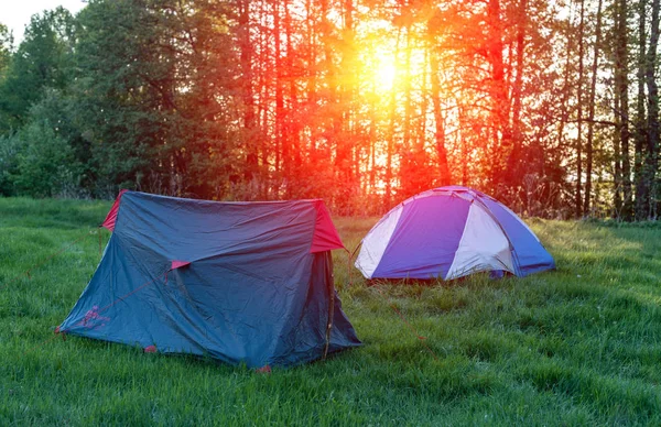 Туристические Палатки Вечернем Солнце — стоковое фото