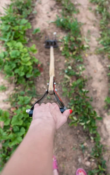 Mano Niña Sostiene Una Herramienta Para Desmalezar Camas — Foto de Stock