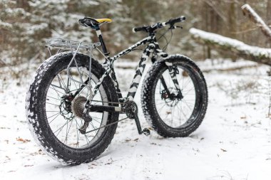 Kışın ormanın içinde bekleyen bir fatbike