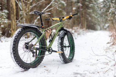 Kışın ormanın içinde bekleyen bir fatbike