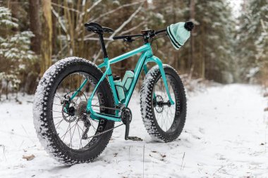 Kışın ormanın içinde bekleyen bir fatbike