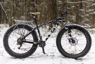 Kışın ormanın içinde bekleyen bir fatbike