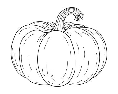 Balkabağının vektör çizgisi. Minimalist çizgi sanatı. Sonbahar, Cadılar Bayramı ve Şükran Günü temaları için mükemmel. Renklendirme, mevsimsel dekor ve tasarım projeleri için uygun siyah ve beyaz çizim.