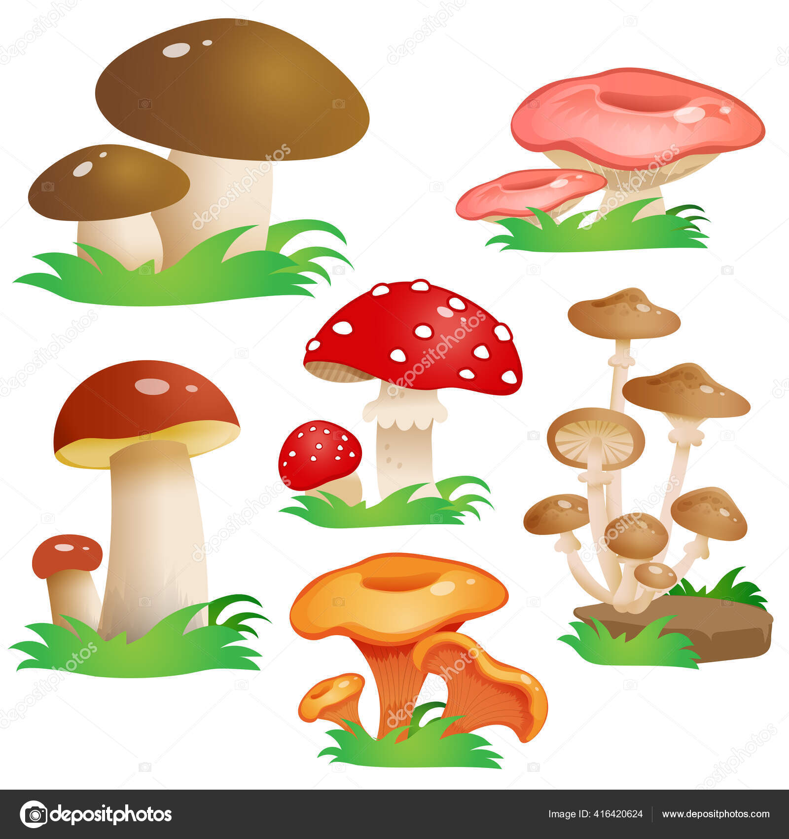 キノコのピッカーストックベクター ロイヤリティフリーキノコのピッカーイラスト Depositphotos