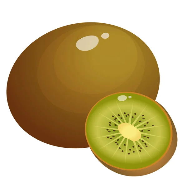 Színes Kép Kiwi Fehér Háttér Gyümölcsök Bogyók Vektorillusztráció — Stock Vector