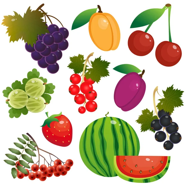 Farbige Reihe Von Bildern Von Beeren Und Früchten Sommerernte Vektorillustration — Stockvektor