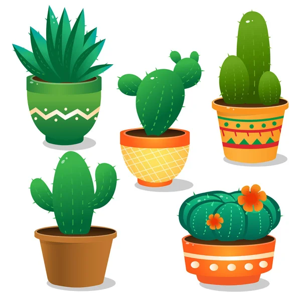 Imágenes Color Cactus Sobre Fondo Blanco Plantas Domésticas Interior Juego — Vector de stock