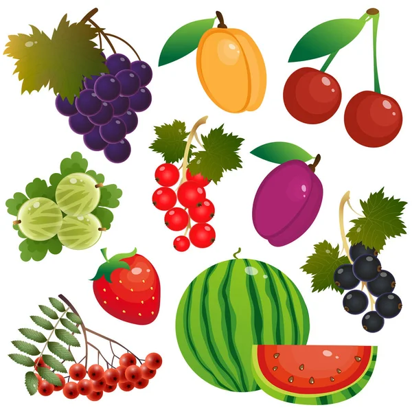 Color Set Images Berries Fruits Summer Harvest Vector Illustration Strawberry — Stock Vector